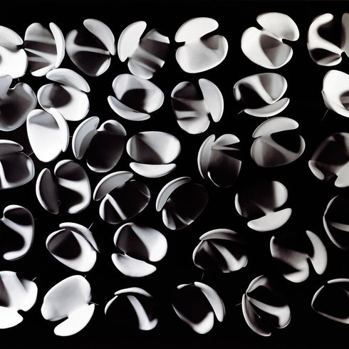 Swan™ Chair / Fabric